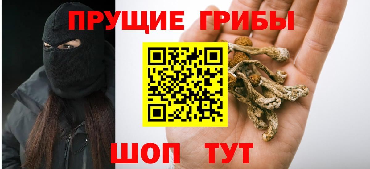 Галлюциногенные грибы MAGIC MUSHROOMS Строитель